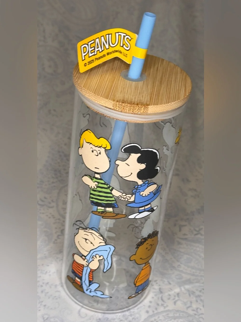 Peanuts Charlie Brown, Snoopy & Gang Glass Tumbler w/ Bamboo Lid, Plastic Straw